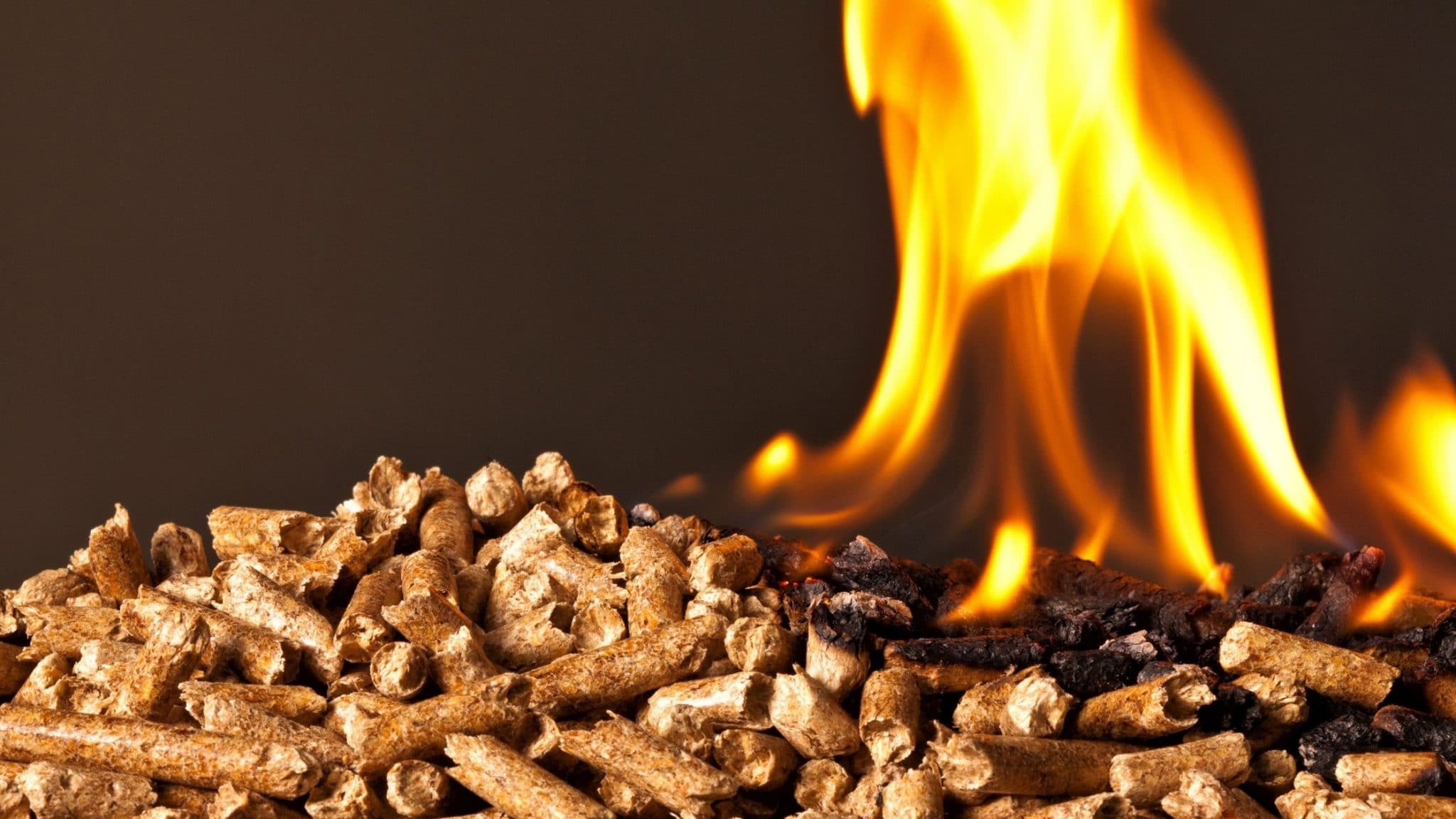 Advantages And Disadvantages of Biomass Energy – Plural Gas and Electricity